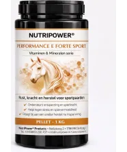 Performance E Forte Sport