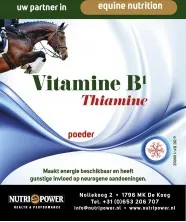 Vitamine B1 - Thiamine