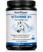 Vitamine B1 - Thiamine