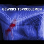 Gewrichtsproblemen