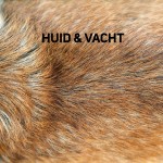 Huid & Vacht