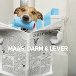 Maag- Darm & Lever