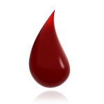 Bloed Support & Bloedarmoede